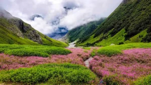 Valley of Flowers in Uttarakhand