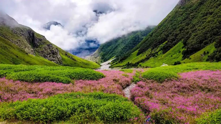 Valley of Flowers in Uttarakhand