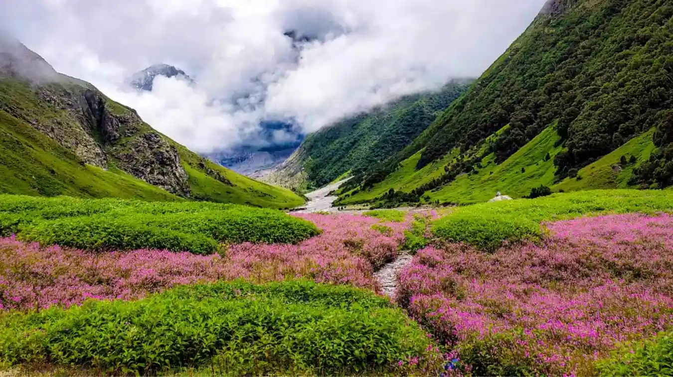 Valley of Flowers in Uttarakhand