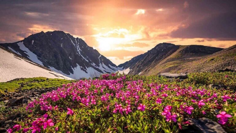 Valley of Flowers Trek Guide 2026